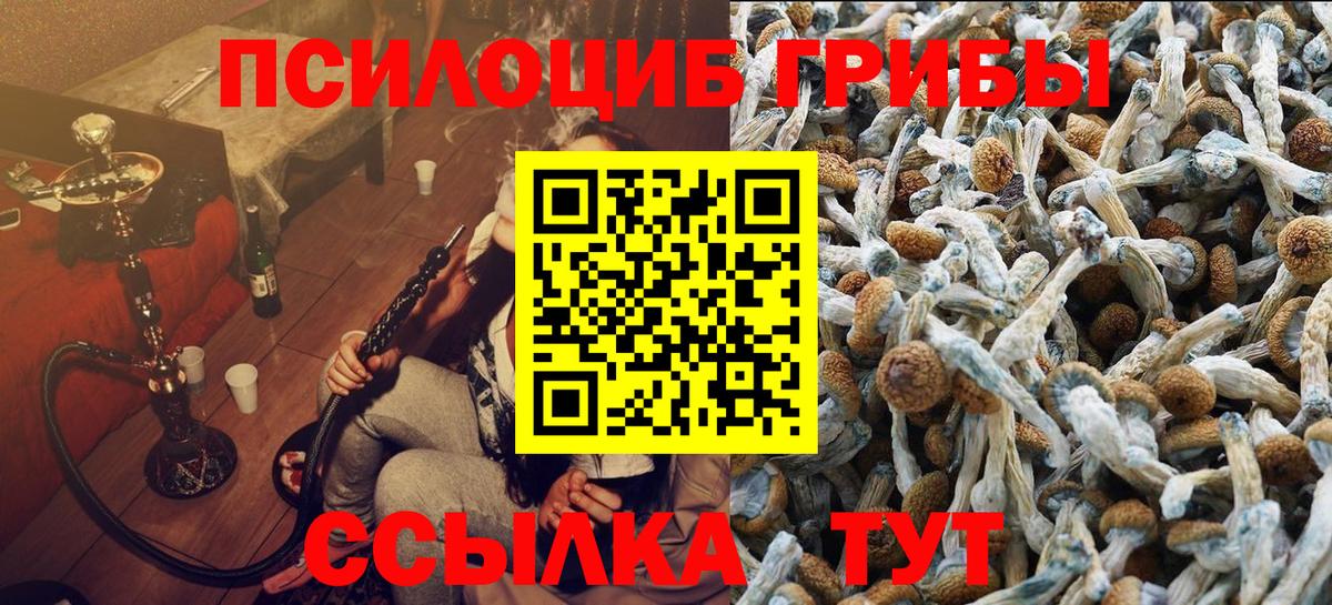 Псилоцибиновые грибы ЛСД Кингисепп