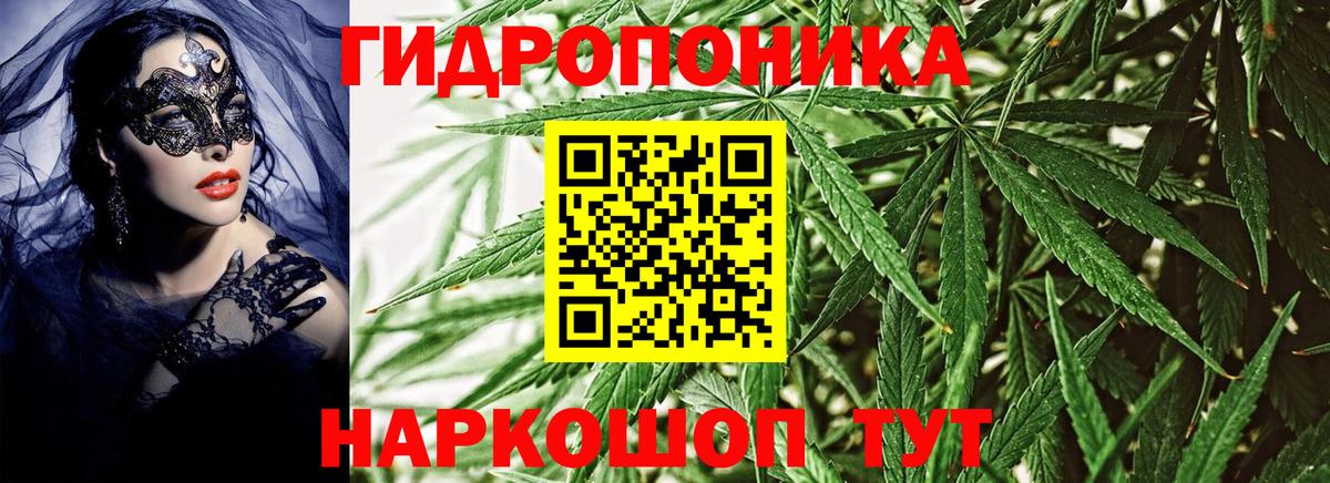 Каннабис ГИДРОПОН  Каннабис гибрид  Шишки марихуана VHQ  Марихуана LSD WEED  Кингисепп  Вход с VPN 